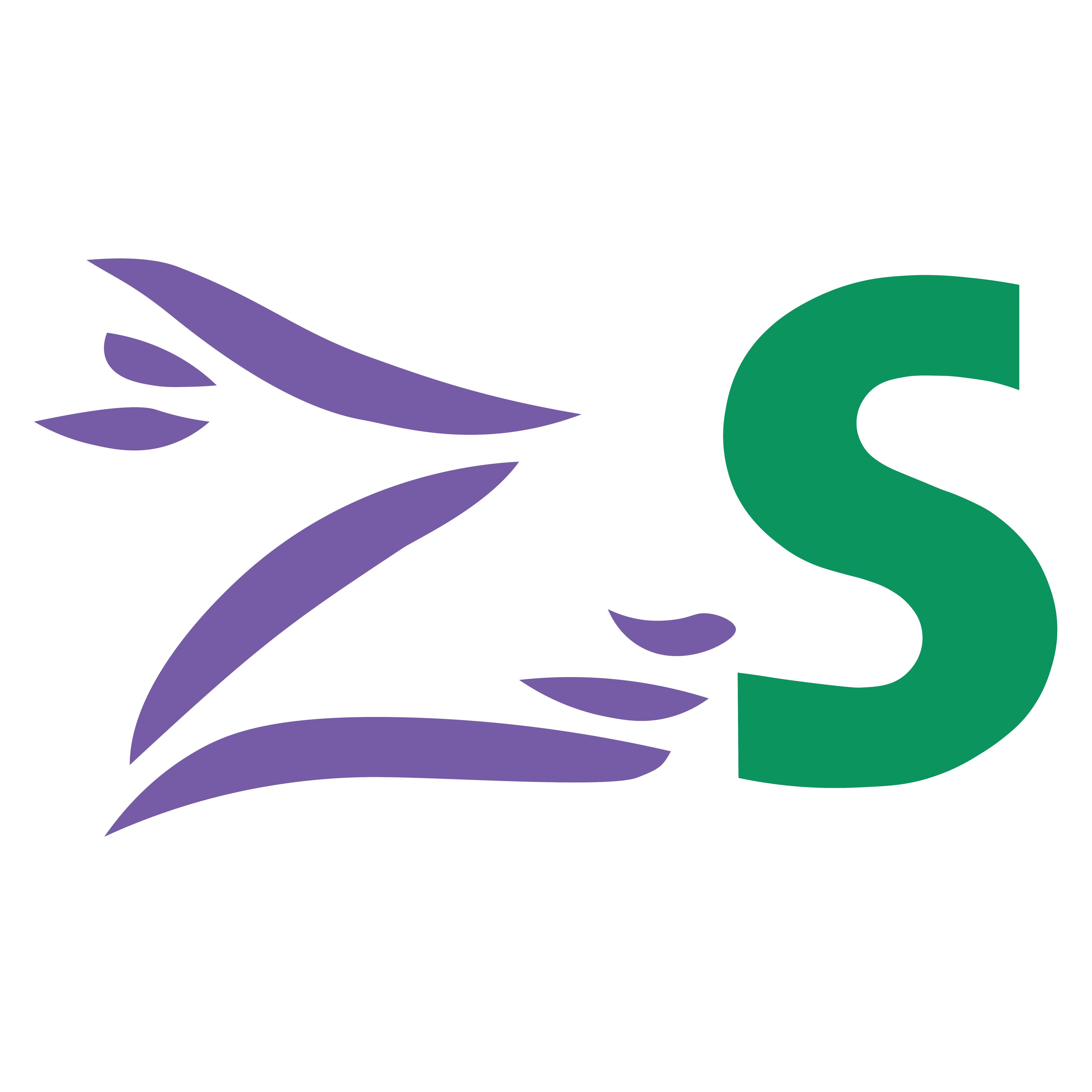 Zürcher Stalder AG Logo