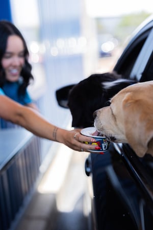 Images Dutch Bros Coffee