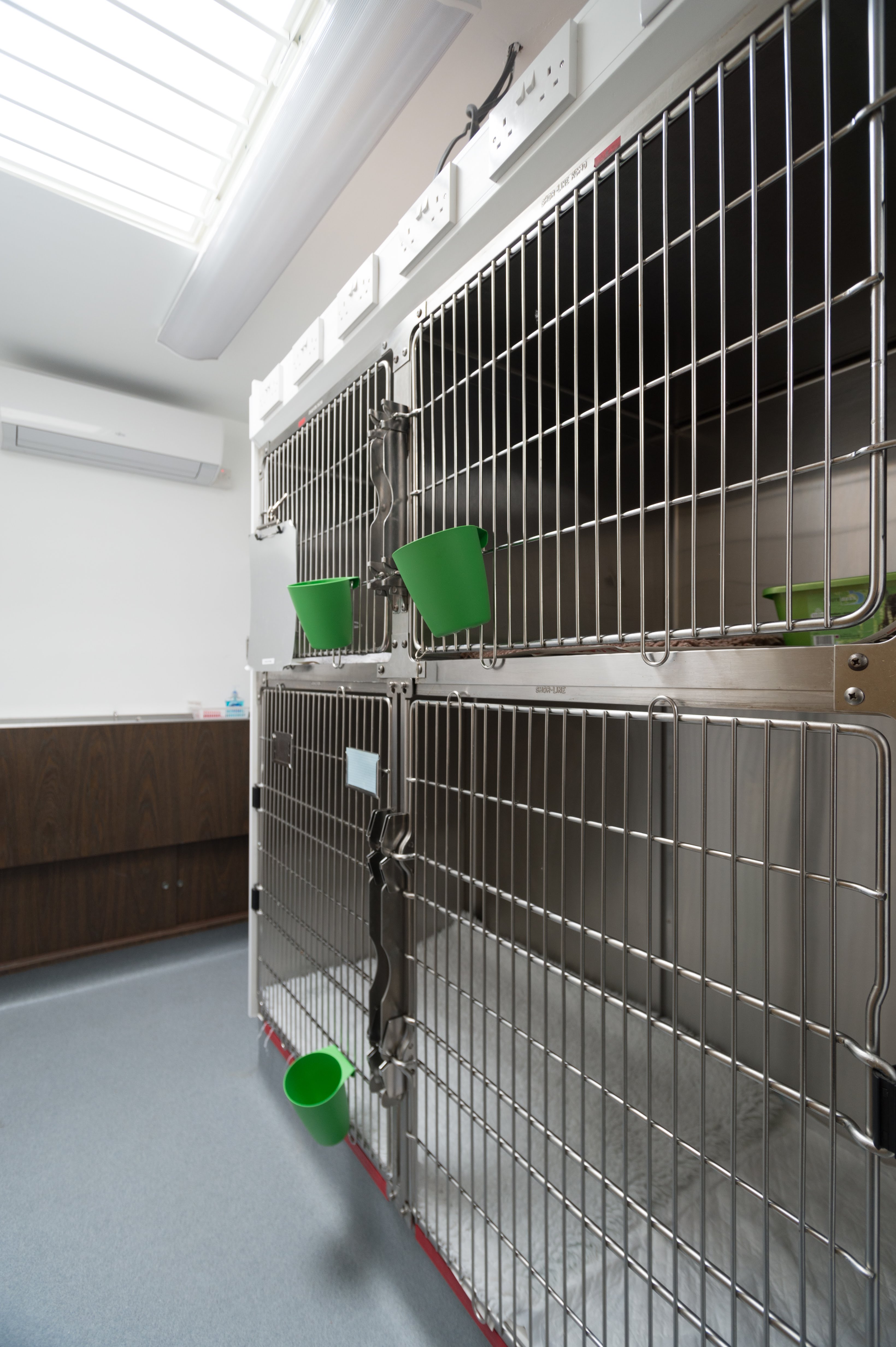 Images Streatham Hill Veterinary Surgery