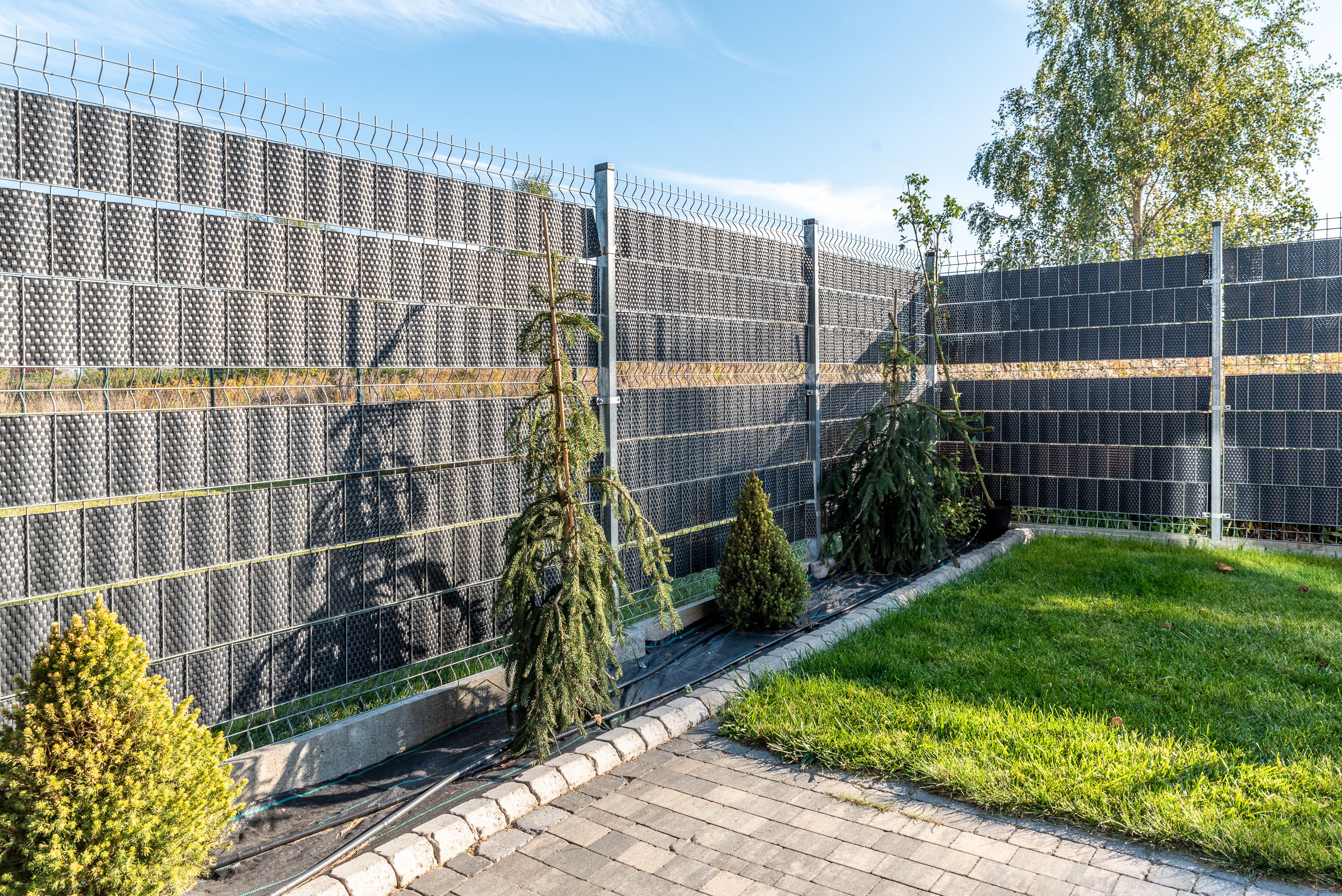 Bilder Sichtschutzstreifen24