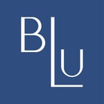 Blu on the Hudson Logo