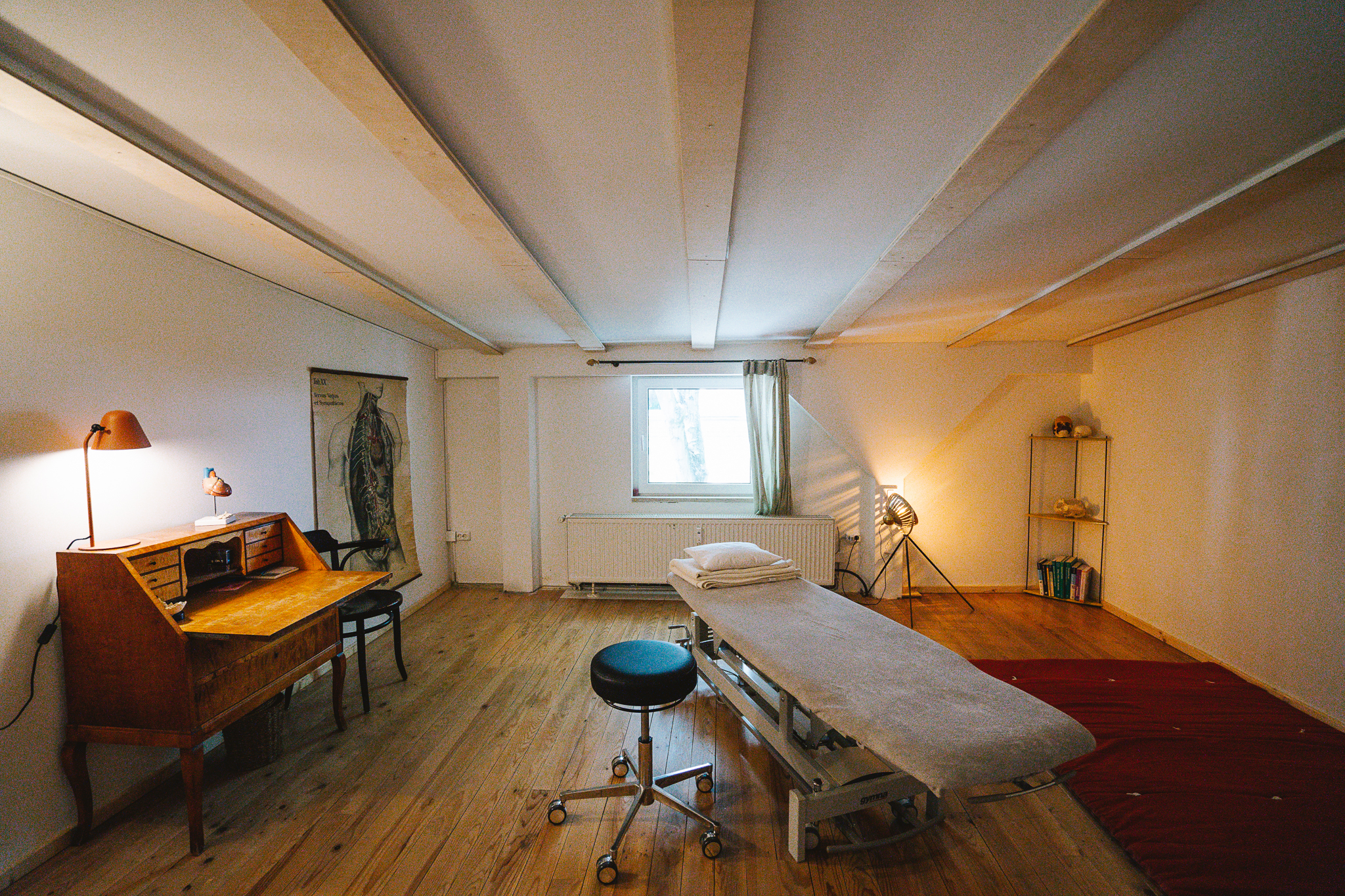 Bilder Osteopathie Johanna Barwich