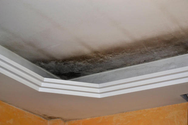 Images First Response Restoration, Water Damage Minneapolis Specialist