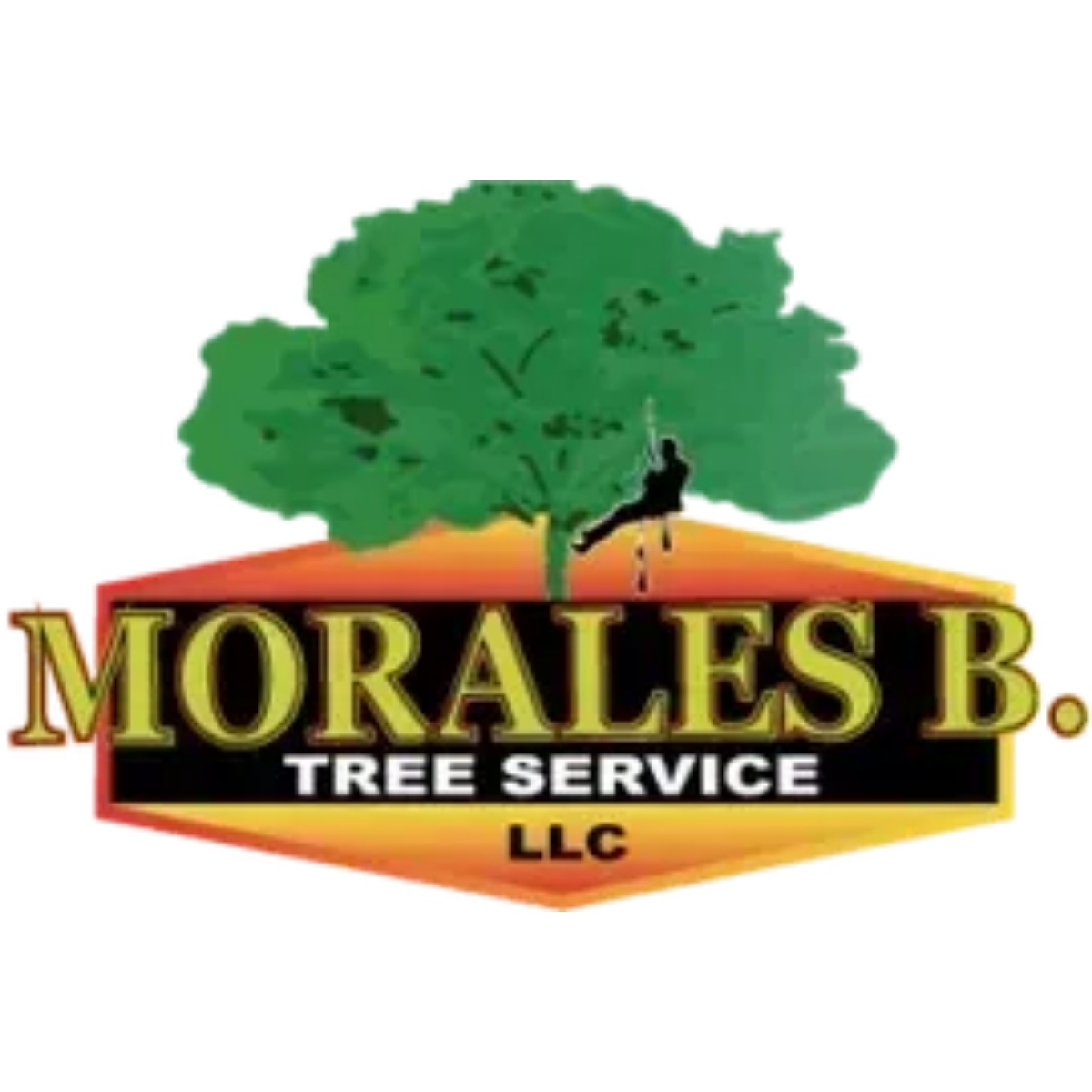 Morales Brothers Tree Service
