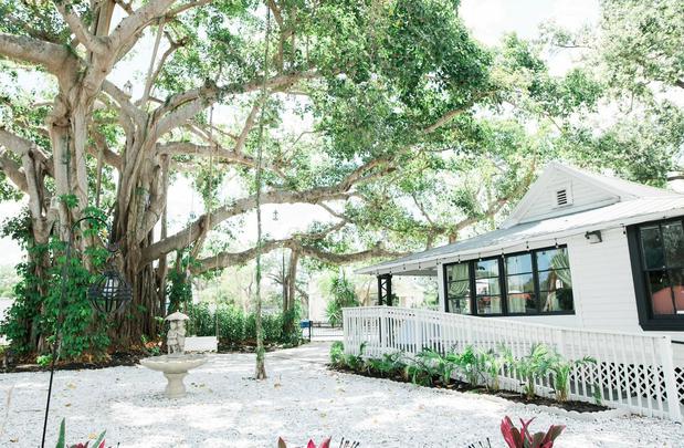 Images The Tree House Fort Myers