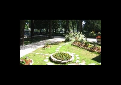 Images Istituto Geriatrico Vergani e Bassi Onlus