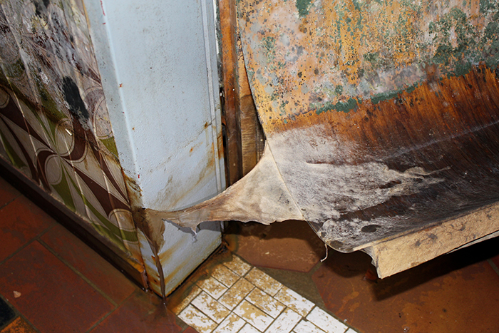 Ebs Inh. M. Raabe, Beselerstr. 42 in Husum