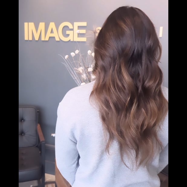Images Eclipse The New Covenant Salon