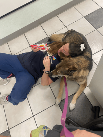 Images VCA Preston Park Animal Hospital