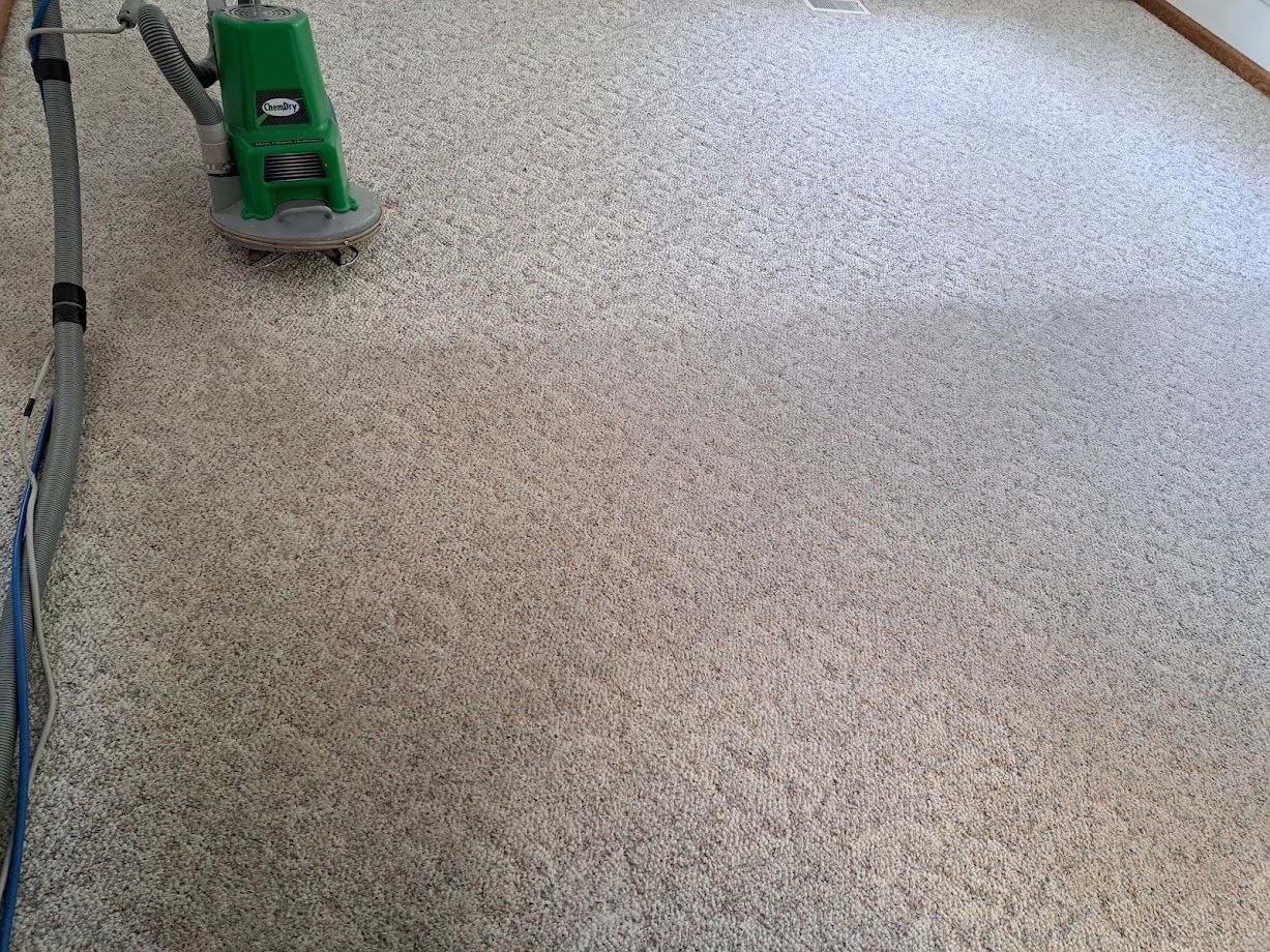 Fort Wayne Carpet Cleaners before & After picture home carpet cleaning