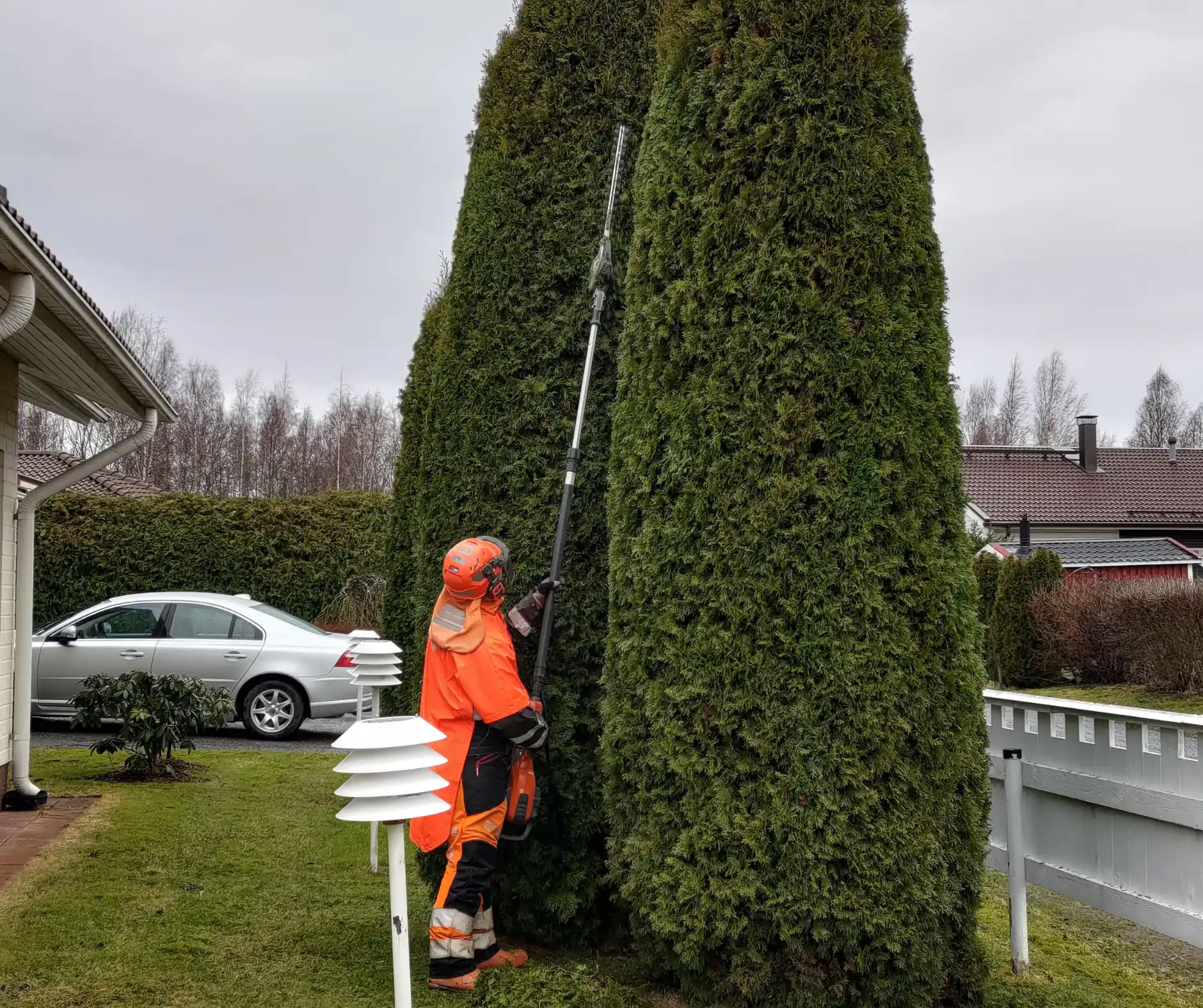 Images Metsä Nieminen Oy