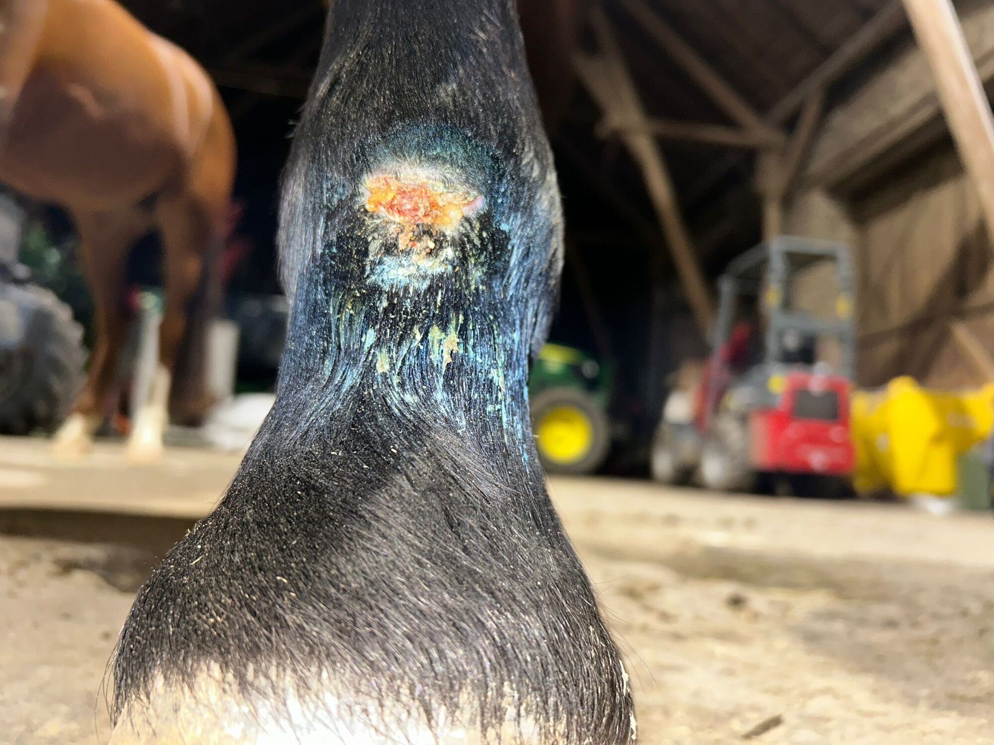 NANO Center CellCare therapie Bioresonanz Daniela Siegmund in Essen