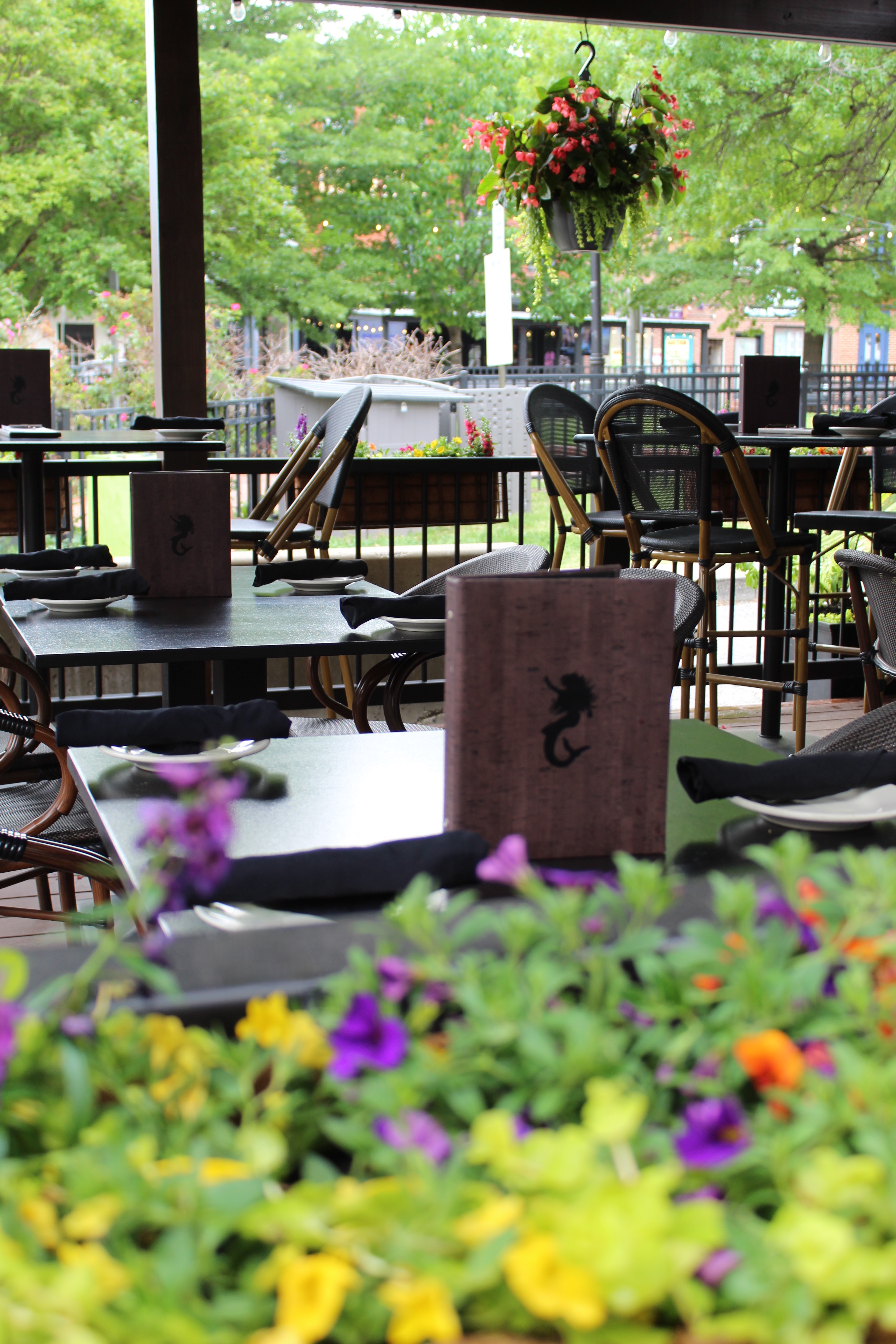 Mama's On The Half Shell Patio outdoor dining area 