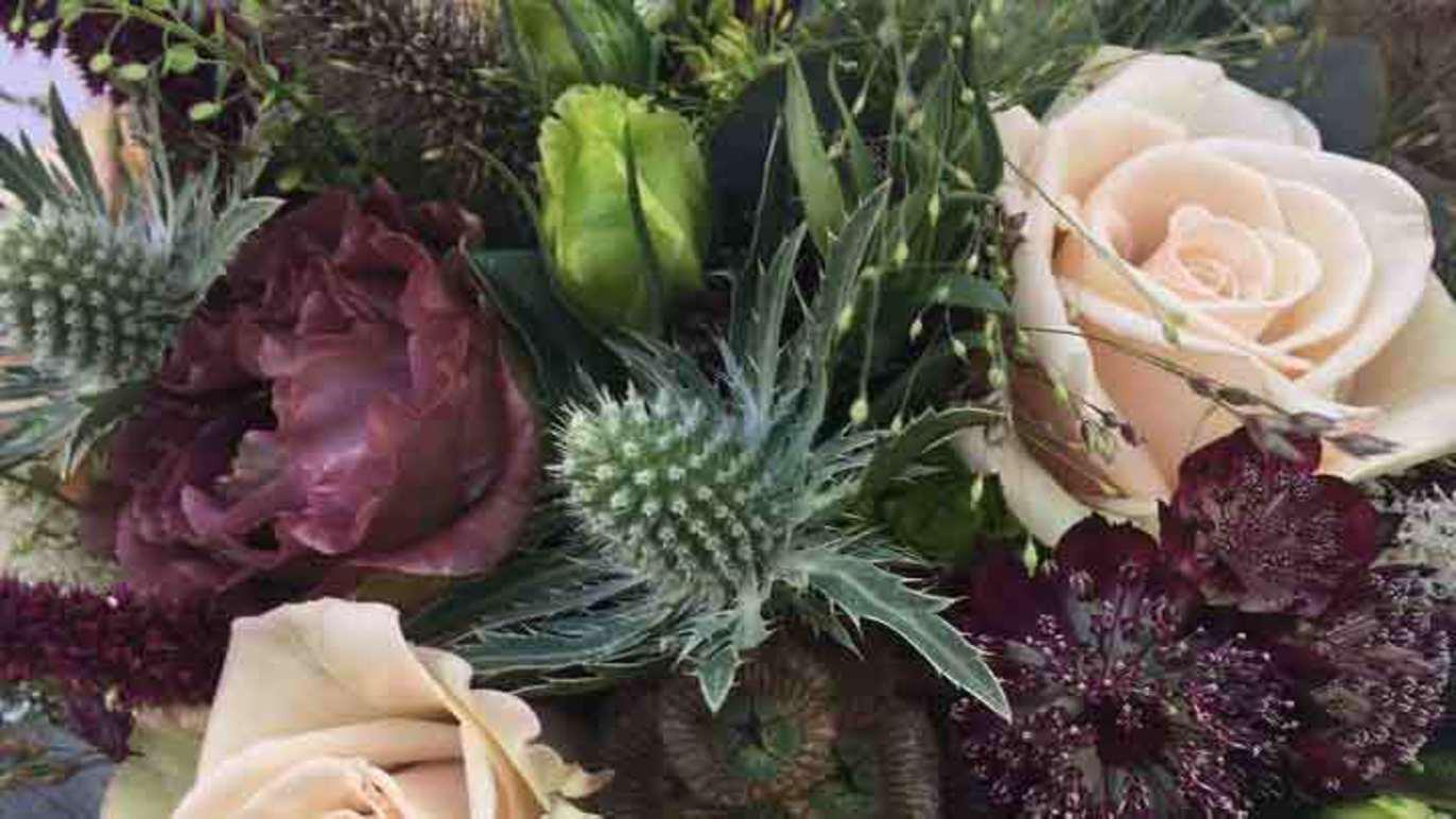 Images De Kreative Tøser