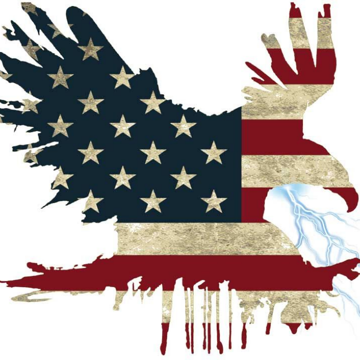 Thompson Electrical Solutions Logo