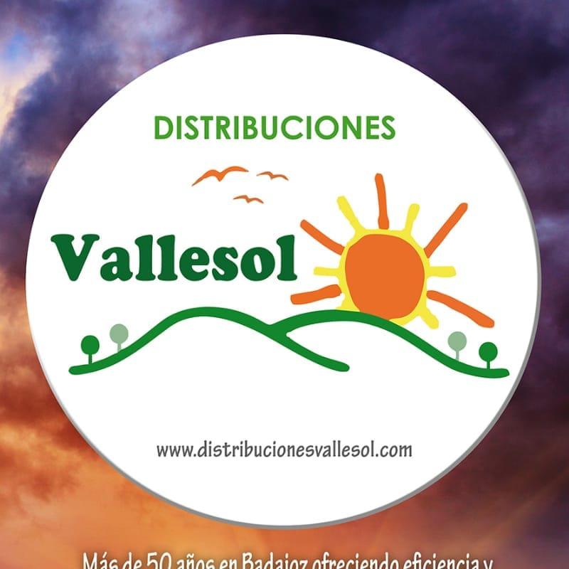 Vallesol, Distribuciones de Licores, Cervezas y Alimentación Badajoz