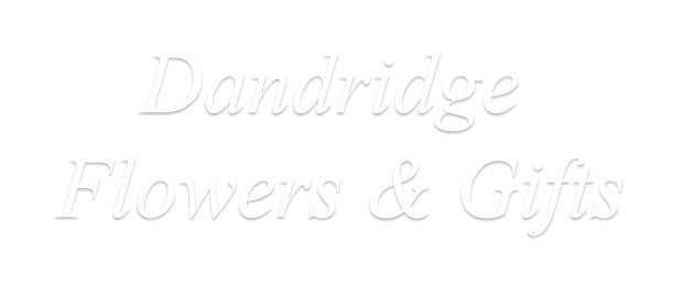 Images Dandridge Flowers and Gifts