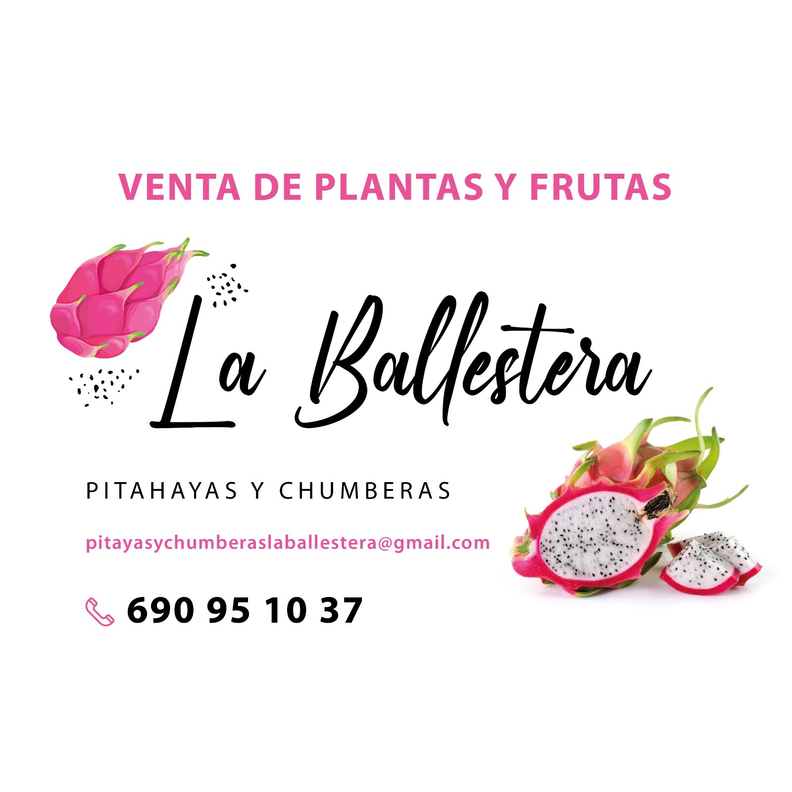 Pitayas y Chumberas La Ballestera Montellano