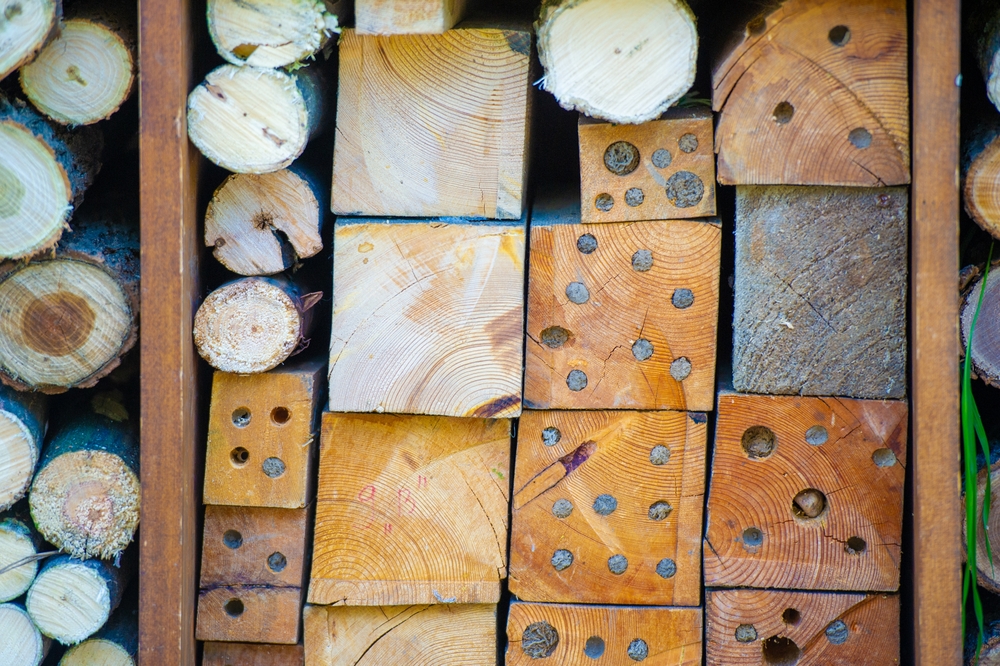 Foggy Creek Forestry LLC Logo