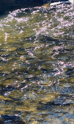 Mogote Meadow Cabins & RV Park Image