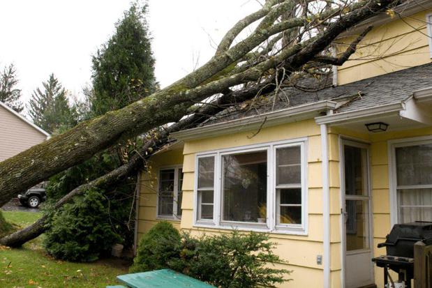 Images First Response Restoration, Water Damage Minneapolis Specialist