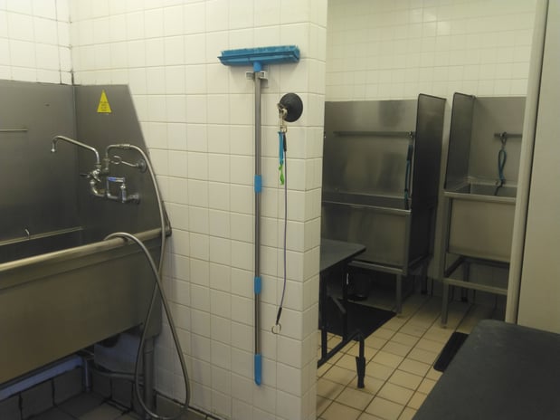 Images Petco Grooming