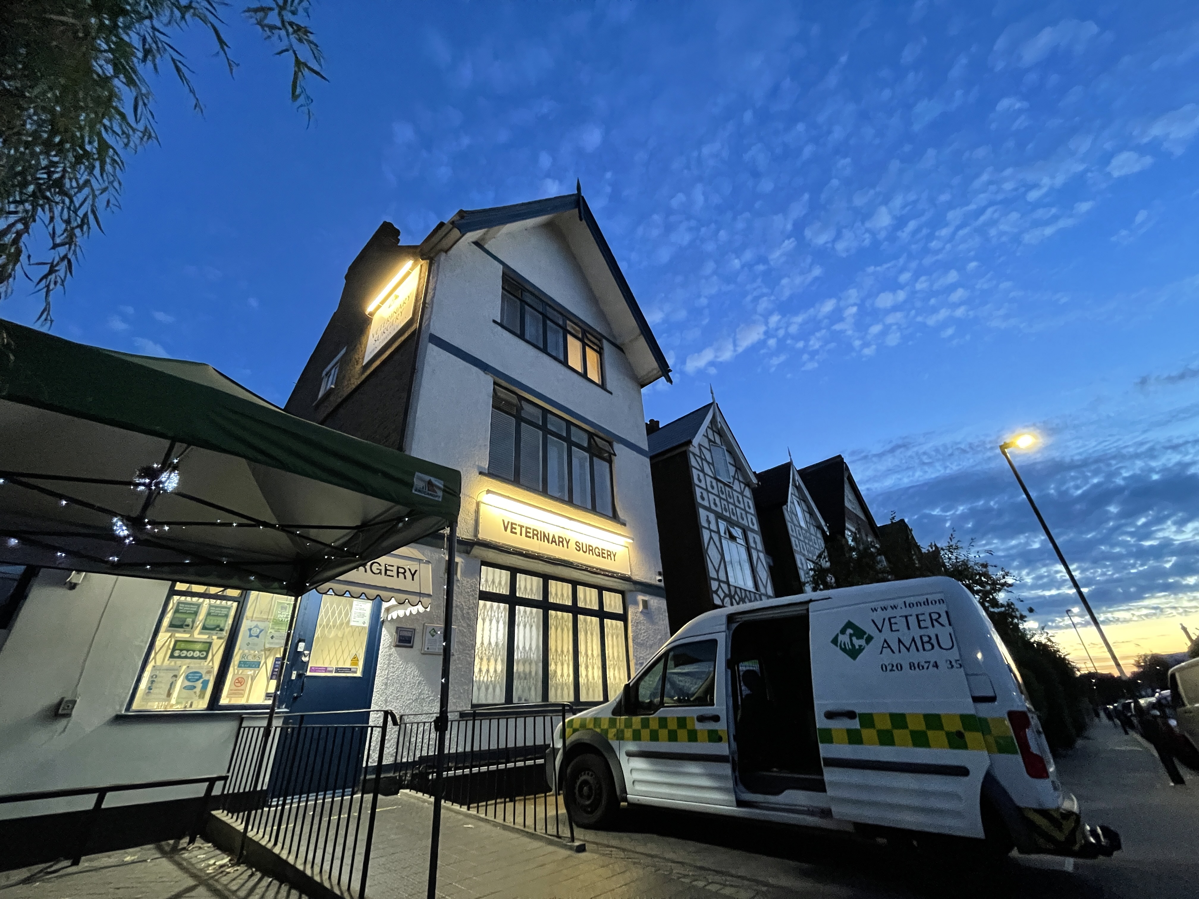 Images Streatham Hill Veterinary Surgery