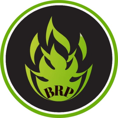 B.R.P. Legno  - Fornitore di Pallet e di Pellet Logo