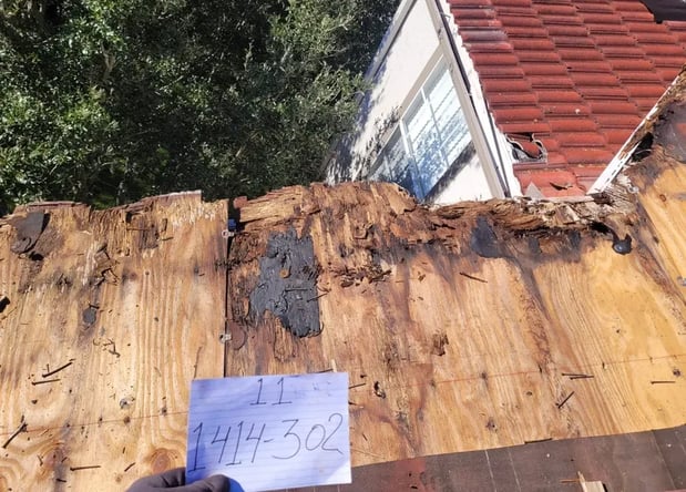 Images John Feeney Roofing