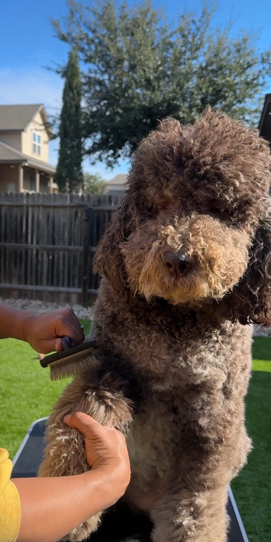 Doodle Me This Kingston and Hamilton LLC Image