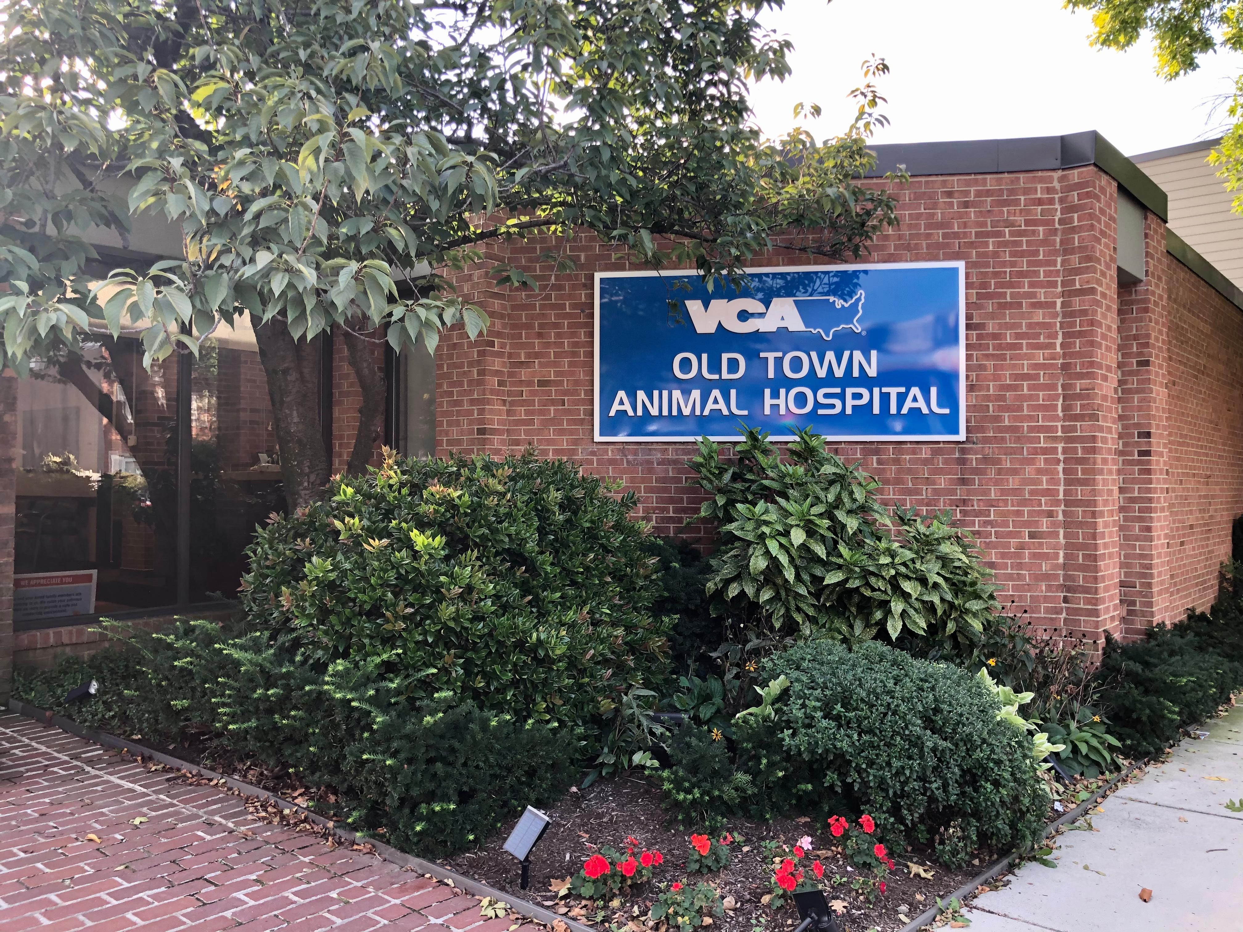 Image 2 | VCA Old Town Animal Hospital