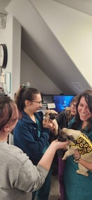 Images VCA Peone Pines Animal Hospital