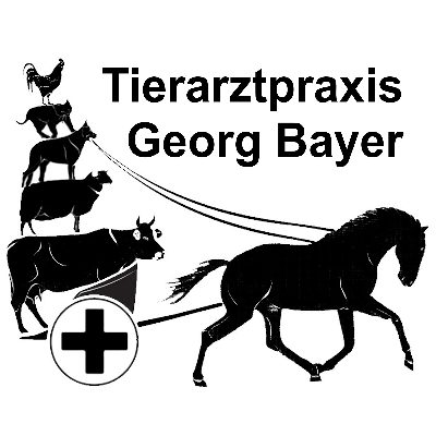 Tierarztpraxis Georg Bayer in Waischenfeld - Logo