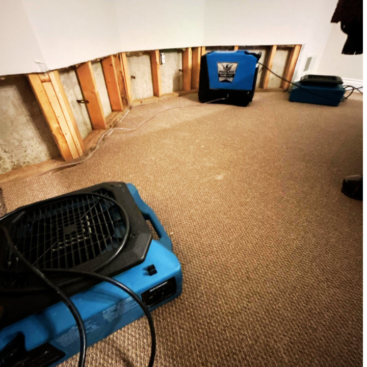 Our team ensures fast, efficient water damage restoration, reducing damage to your property and returning it to normal as quickly as possible.