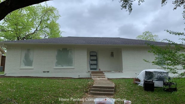 Images The Brazilian Painter