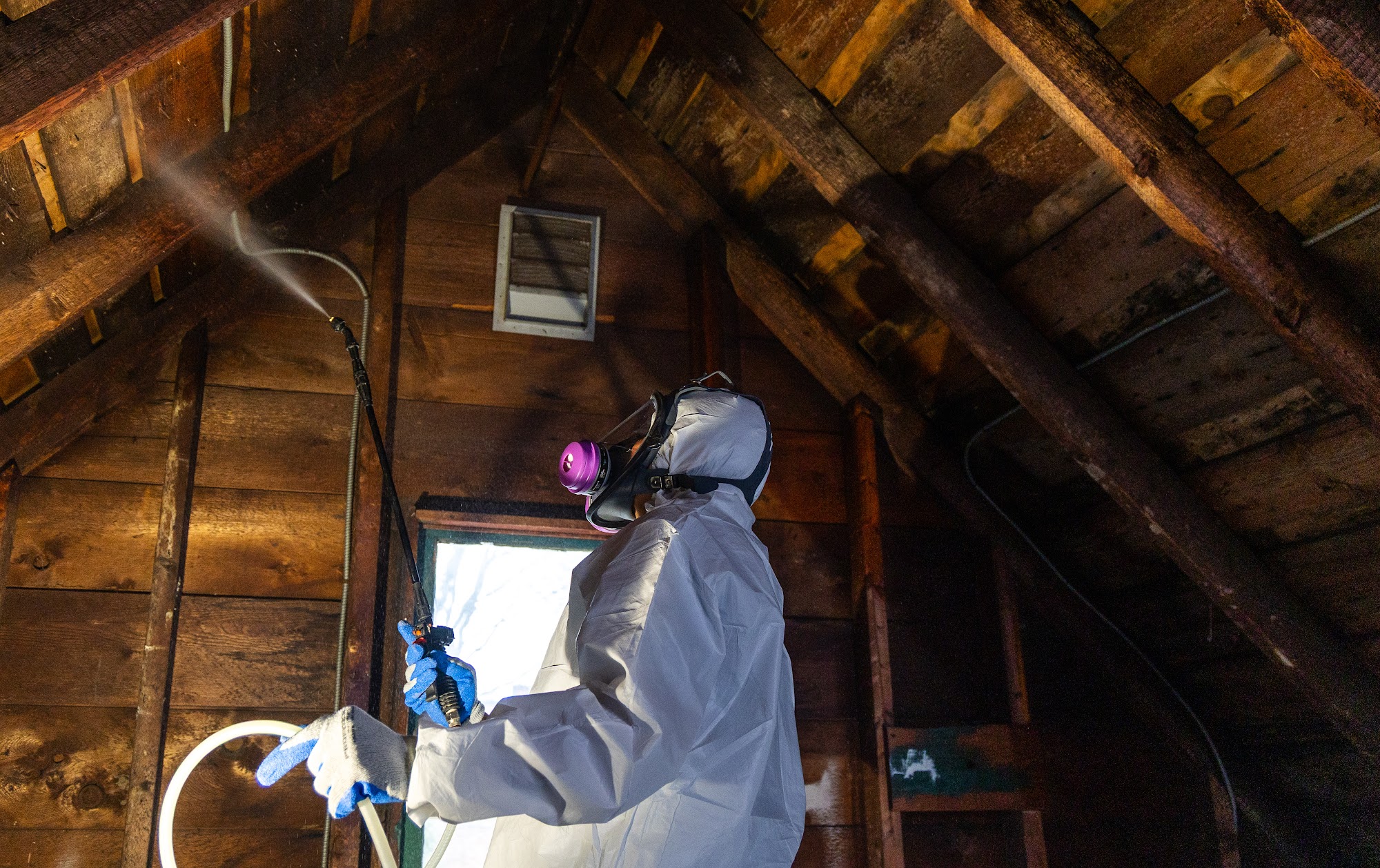 A CT Mold Remediation Specialists technician applies professional treatment to affected surfaces. 
