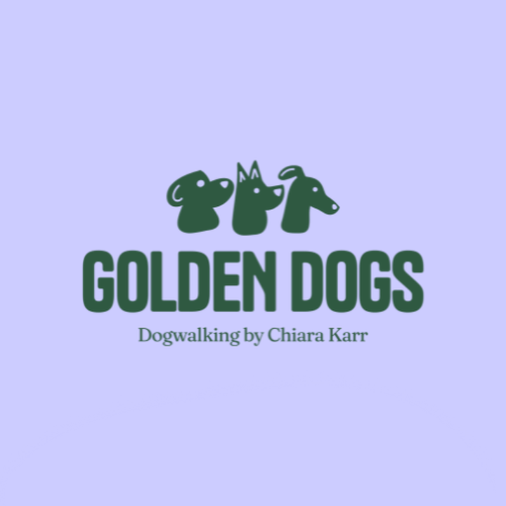 Golden Dogs - Dogwalking by Chiara Karr in Saarbrücken