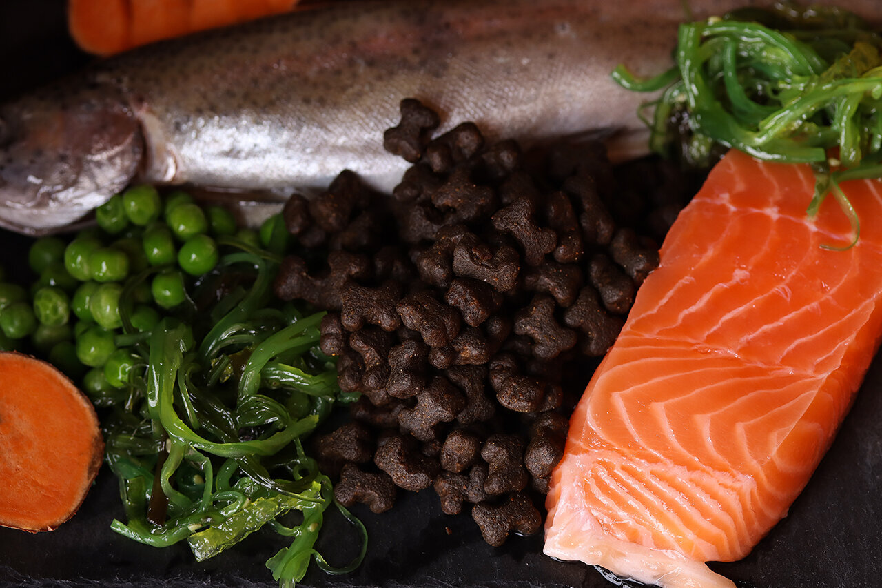 Bilder Green Pet Shop