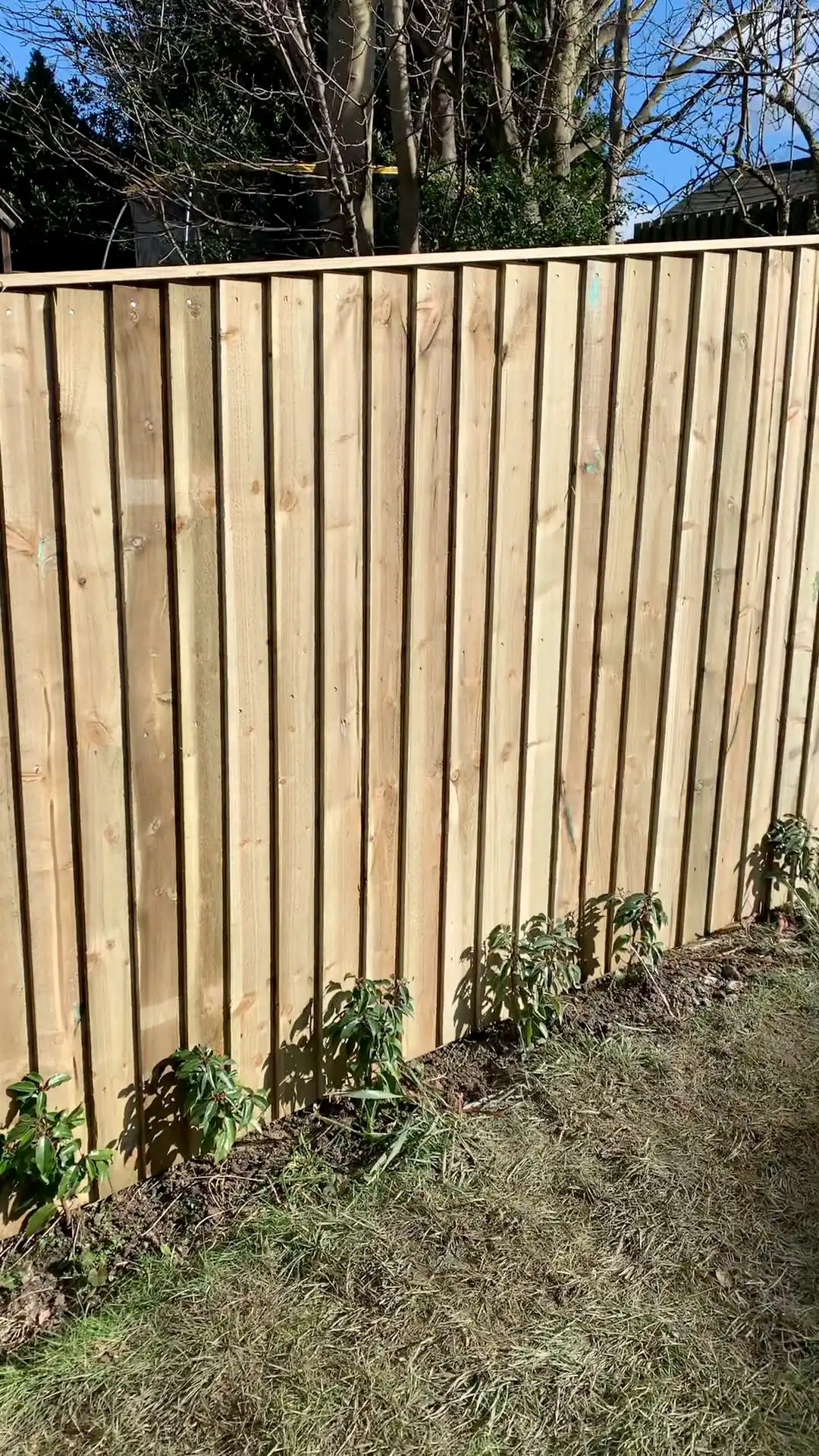 Images D & E Landscapes