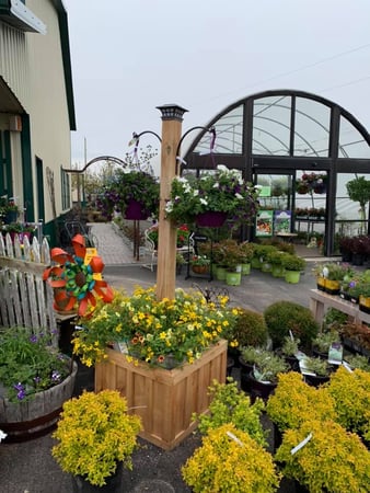 Images S & H Nursery