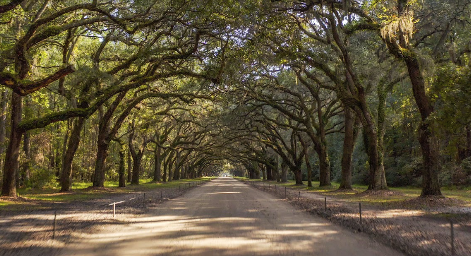 Savannah Real estate: Life in Savannah Parks