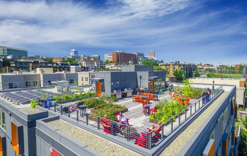 Rooftop terrace at Decibel on 12th in Seattle