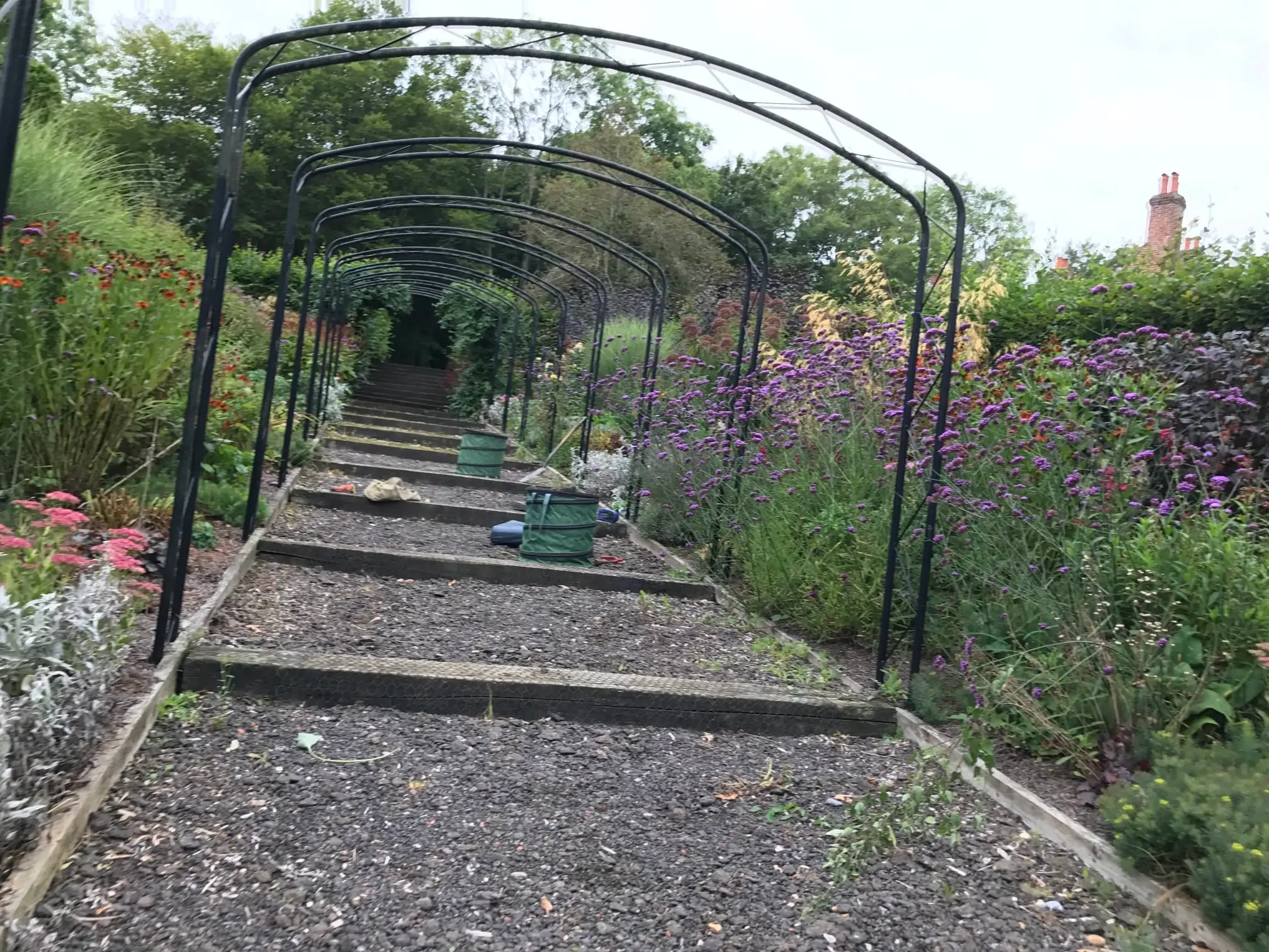 Images Prostyle Gardening & Home Services