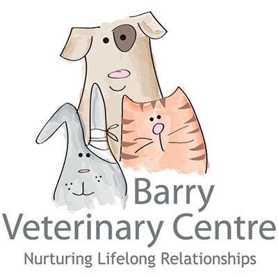 Barry Veterinary Centre - Boverton Logo