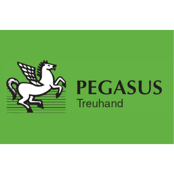 Pegasus Treuhand Urs Vögele Beratungen GmbH Logo