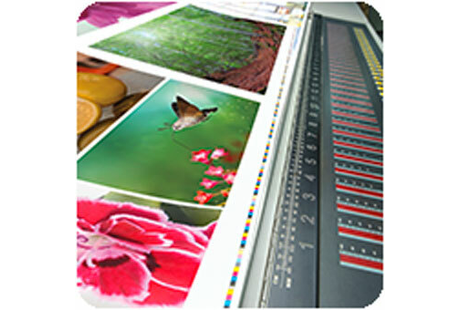 Molisse GmbH & Co. KG Mail Boxes ETC 0112, Schildhauerstr. 14 in Straubing