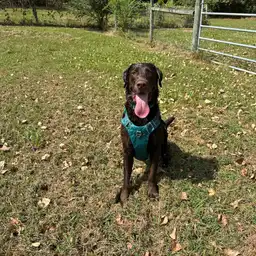 Sniffspot Yolistone Image