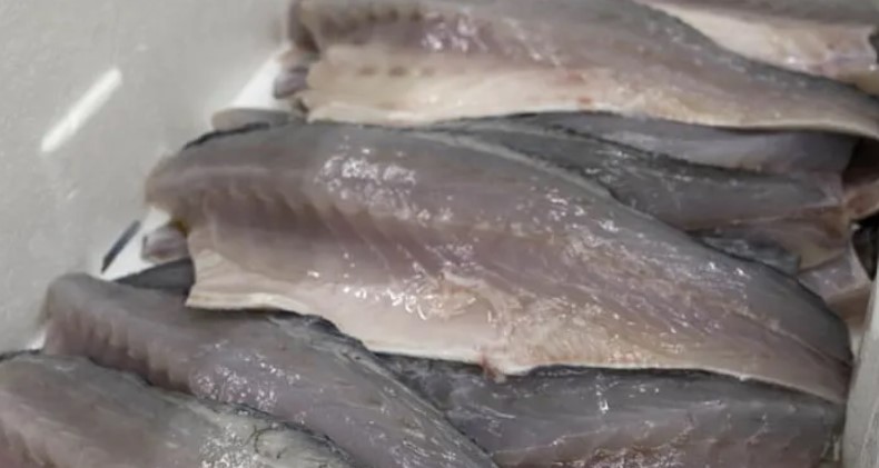 Images Rg Pescheria