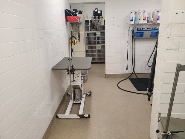 Images Petco Grooming