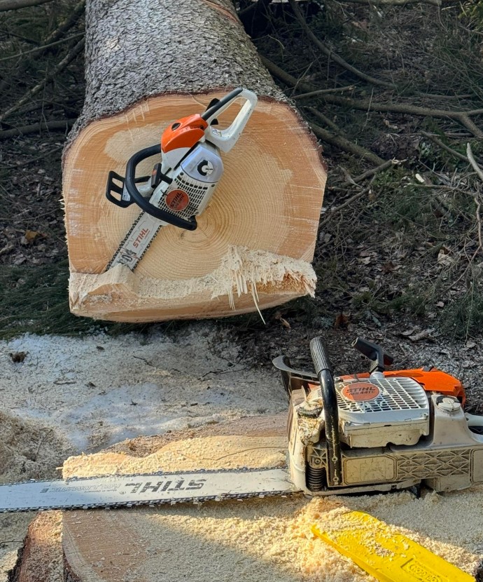 Images Puunkaato Kuokkanen